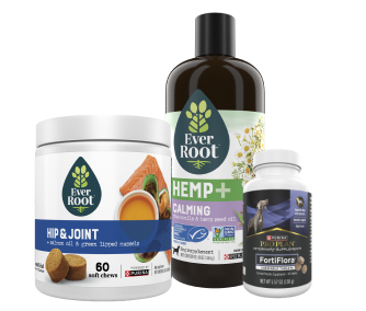 dog-supplements-main