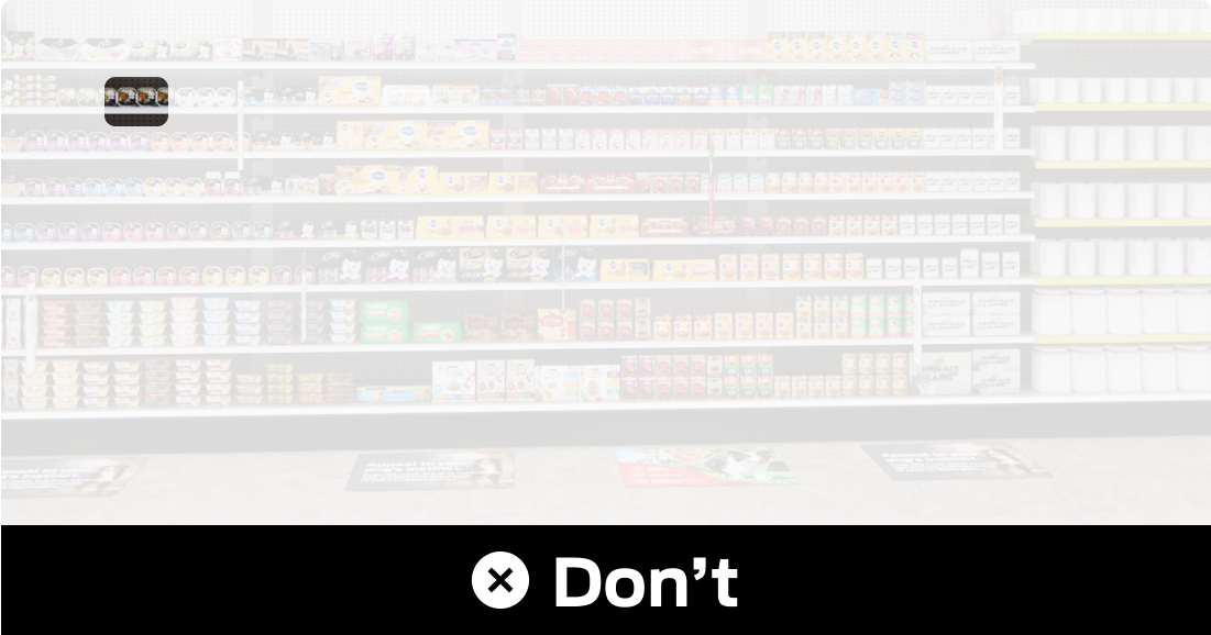 wet-dog-awareness-dont