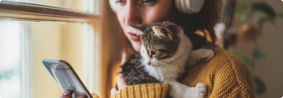 Cat Litter Fulfillment - Subscription Service