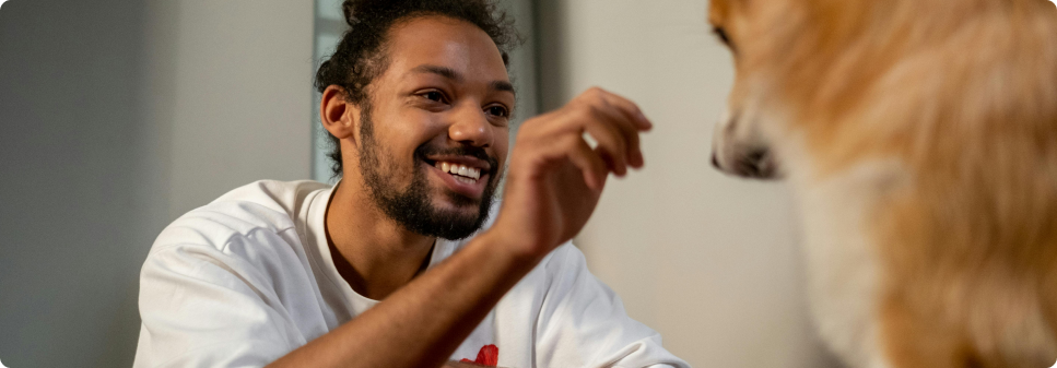 Cat Treats Fulfillment - Optimize Online Treat Navigation