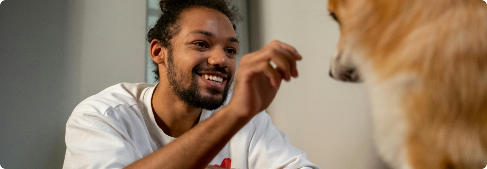 Dog Treats Fulfillment - Optimize Taxonomy for Treats