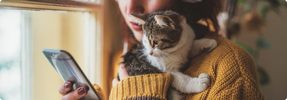 Dry Cat Food Fulfillment - Use subscriptions to build loyalty