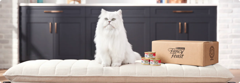 Wet Cat Food Fulfillment - Make it easy with subscriptions